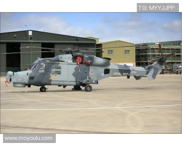 山猫与风暴的精彩对决分析及2018年最佳推荐策略