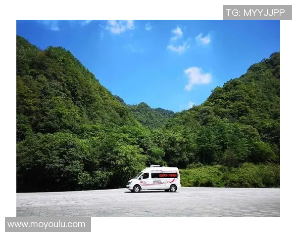 弗拉霍维奇引领新潮流球场上的闪耀之星与未来之希望